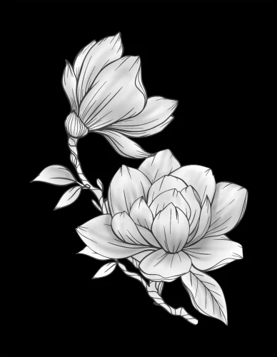 Ветка цветов 035 (магнолия)